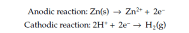 阳极反应:Zn(s) -> Zn2+ + 2e-，阴极反应:2H+ + 2e- -> H(2)g